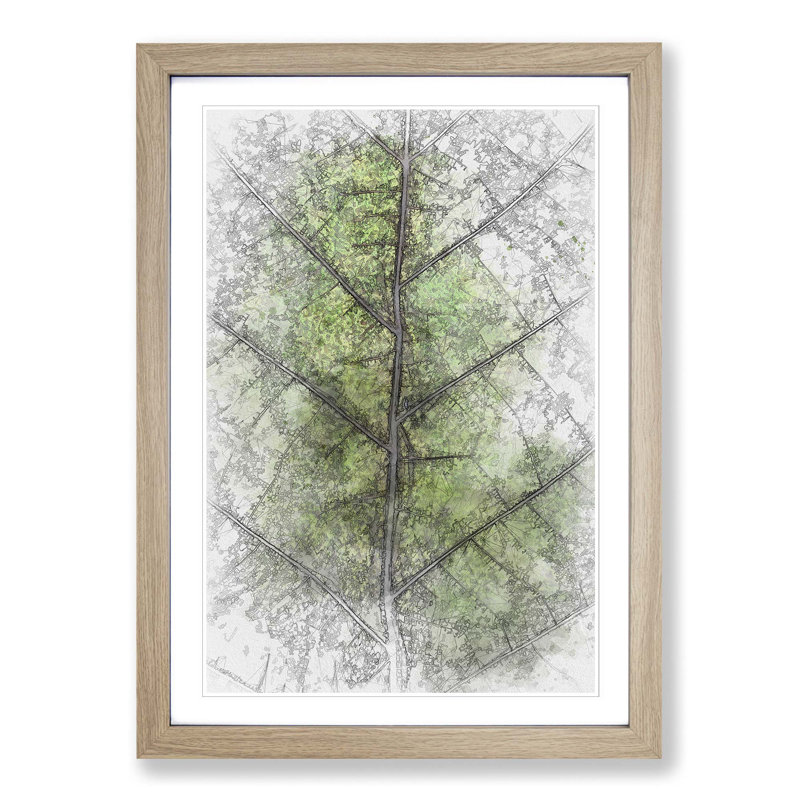 Leaf Lines in Abstract - Picture Frame Graphic Art Print, Oak Framed, 87cm H x 62cm W x 2cm D