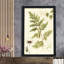 Ivies and Ferns I Crop - Peinture-210487824-210487832