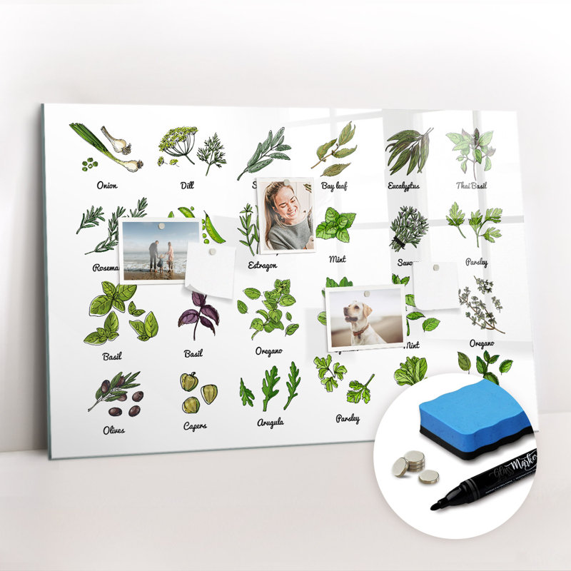 Magnetic Glass Dry Erase Board