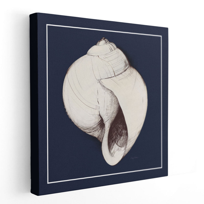 Coastal Shell I with Border Navy - Canvas Print Wall Art, 12" H x 12" W