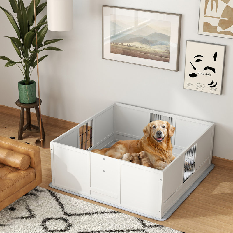 Boîte de mise bas pour chien avec coussin imperméable, porte à hauteur réglable