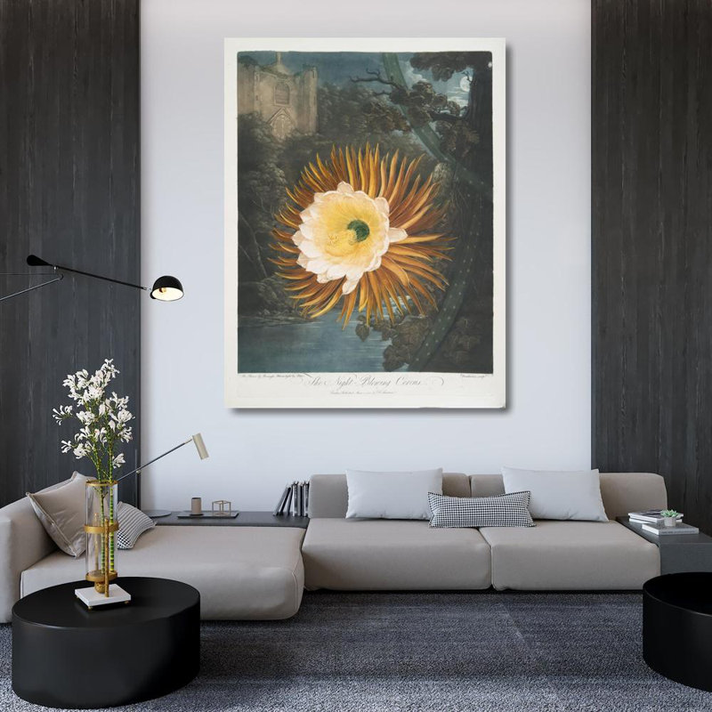 «The Night-Blowing Cereus» par Robert John Thornton - Art mural sur toile tendue avec châssis, H 48 po x l 33 po