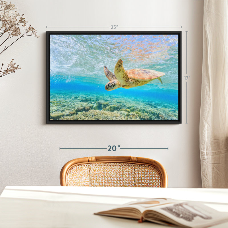 Turtle Dive Canvas Print, 17" H x 25" W