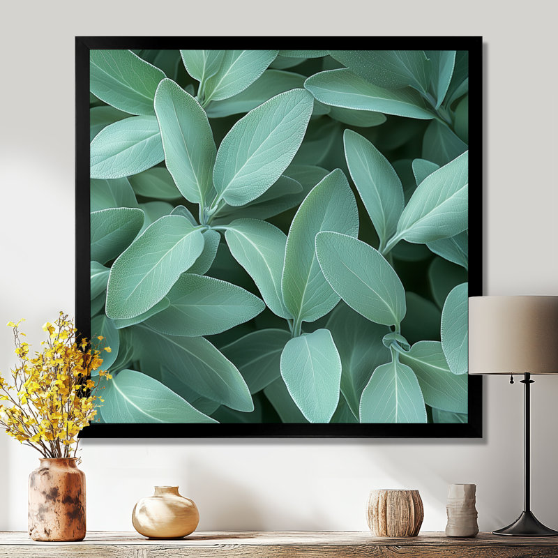 Feuilles de sauge - feuilles, art mural, Reproduction encadrée d'une seule photo, H 30 po x l 30 po, Noir, noir, noir, noir