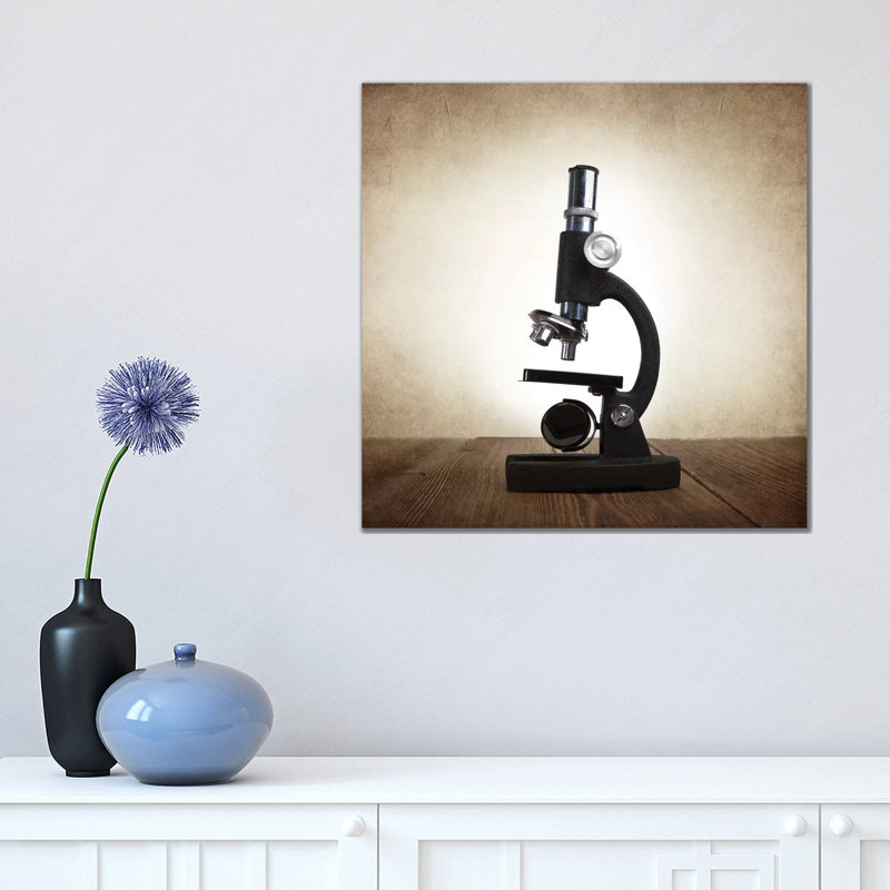 Microscope 1 Piece Wall Art on Canvas, 45.72 cm H x 45.72 cm W x 1.91 cm D, Wrapped Canvas