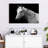 Brampt Horse Headshot-107719608