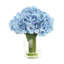 Hydrangeas in Glass Vase