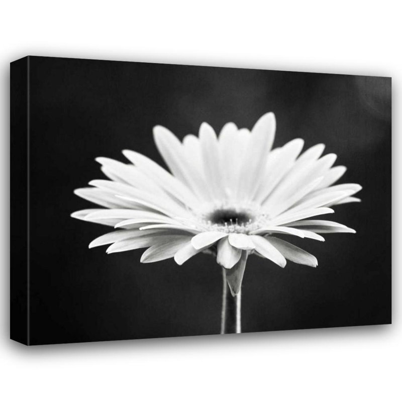Ebern Designs Cochrane, Carolyn, art sur toile tendue sous le titre: Daisy, H 15 po x l 18 po