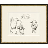 Country Cow Sketches 5