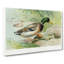 Mallard Duck by J.L. Ridgway - Wrapped Canvas-55362891