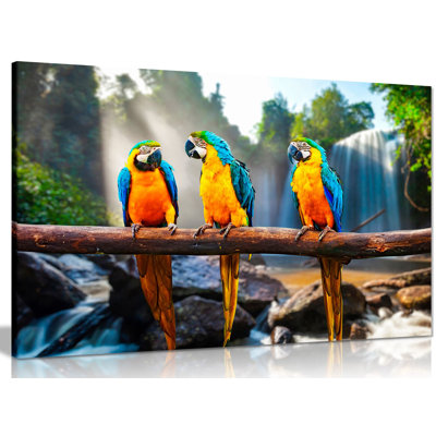 Parrots Macaws - Wrapped Canvas Print