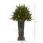 48' H Lighted Artificial Pine Christmas Tree