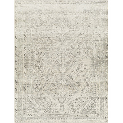 Denzyl Washable Oriental Indoor Rug