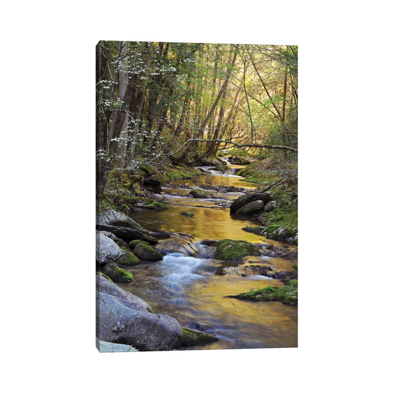 Springtime Creek by Brian Wolf - Wrapped Canvas Print, 30.48cm H x 20.32cm W x 1.91cm D