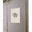 Nesting Navigators Ivory 1 Print-303963194