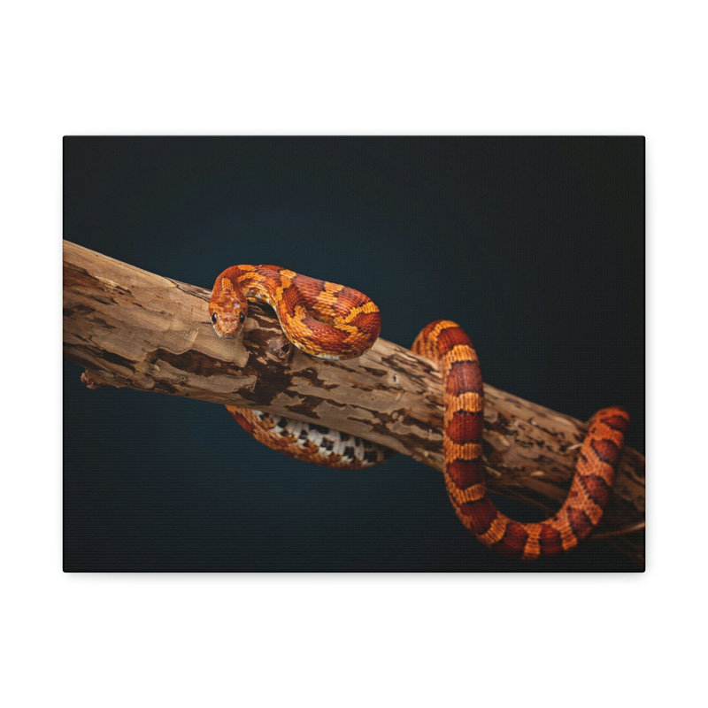 No Frame Print on Canvas, 12cm H x 18cm W