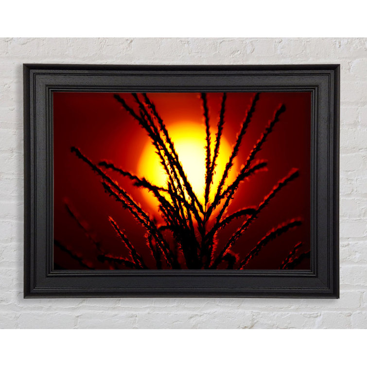 Ebern Designs As The Sun Lights Up The Reeds - Single Picture Frame ...