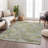 Machine Washable Indoor/Outdoor Huseby ACN2266 Stripes Rug-2006179083
