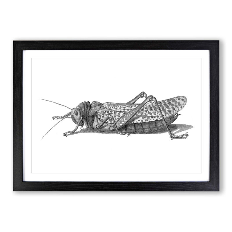 Cricket in Black & White by George Shaw - Picture Frame Painting Print on MDF, 48cm H x 65cm W x 2cm D, Black Framed