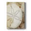Dry Sand Dollar I - Gallery Cavas-414201693