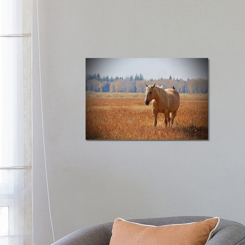 Hitching A Ride II by Susan Vizvary - Wrapped Canvas Print, 66.04 cm H x 45.72 cm W x 1.91 cm D