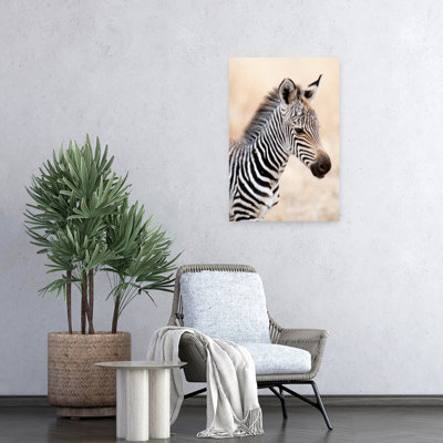 Close-Up Of A Burchell's Zebra Equus Burchelli Ngorongoro Crater Ngorongoro Tanzania Contemporary Zebra Art