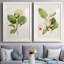 «Magnolia Flowers I-Premium», reproduction encadrée prête à être accrochée-1223354543-1223354512
