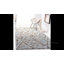 Tapis gris / brun en laine touffeté Powell-233046459