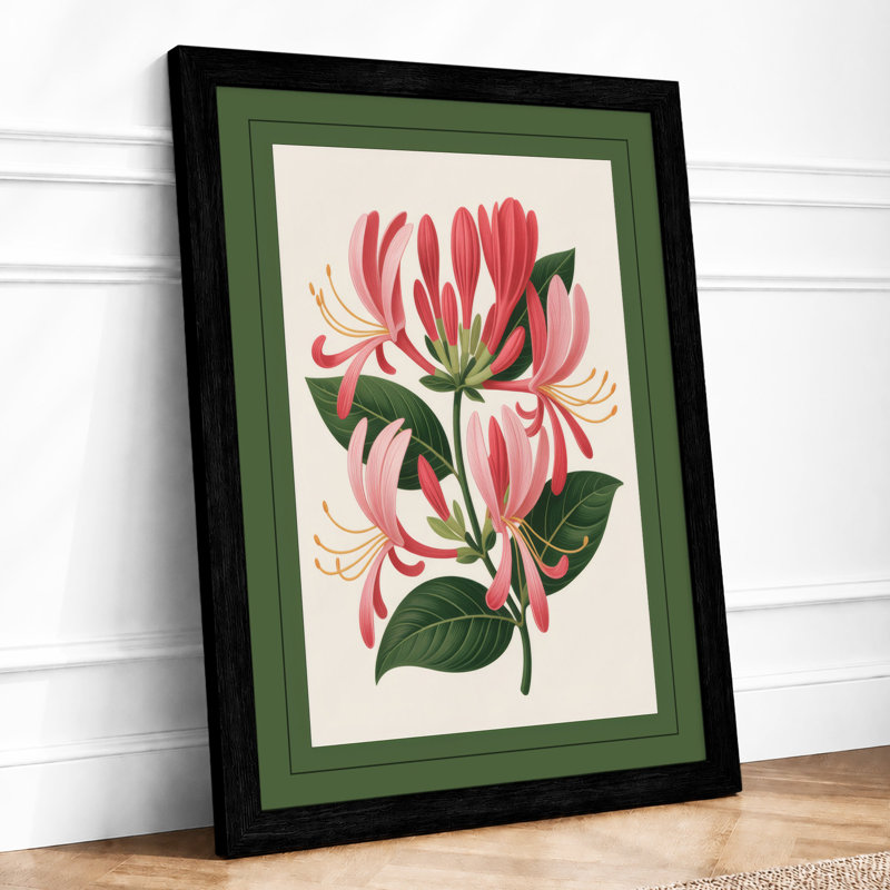 Honeysuckle Study Botanical - Framed Print, A3 - 42.0 x 29.7 cm, Black