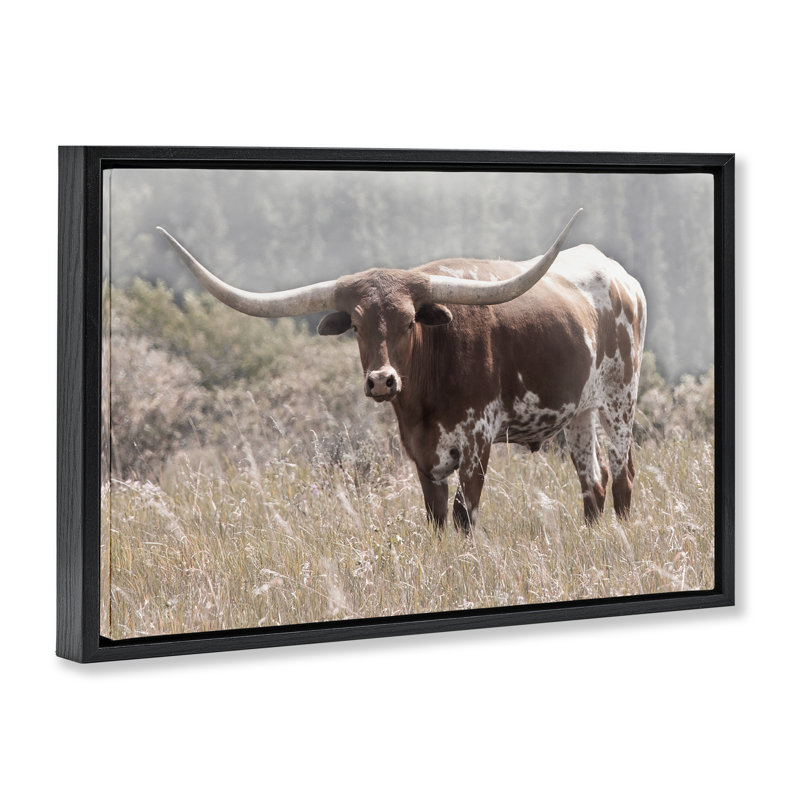 Cadre flottant Texas Longhorn, conception par Carol Robinson, H 21 po x l 31 po, Cadre flottant noir de jais