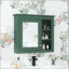 Pharmacie murale 30 x 28 avec 3 tablettes ouvertes et tablette réglable - Vert