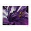 Adelphi Amethyst - impression sur toile tendue-26110161