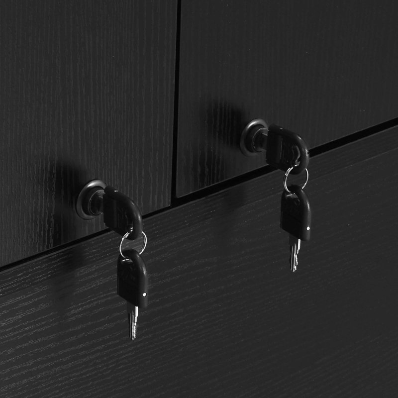 Annya 68'' H 2 -Drawer File Cabinet, Filing cabinet with Lock & Doors & Adjustable Shelves, Black