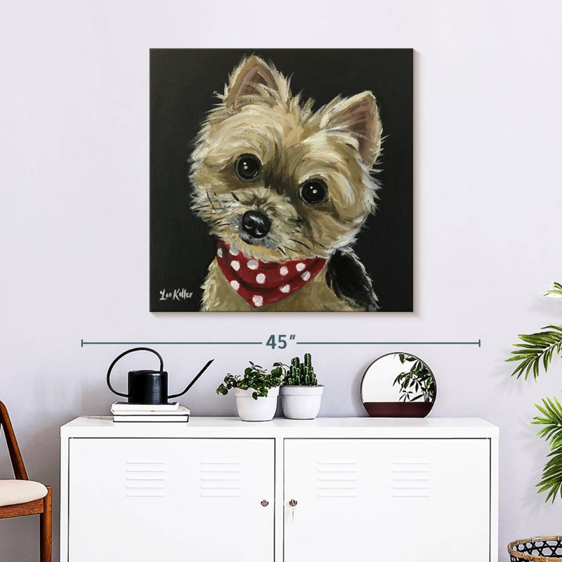Crowle Yorkie - bandana rouge, H 30 po x l 30 po