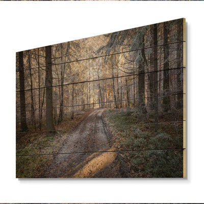 Road Thorugh Winter Forest Trees - reproduction d'art sur toile encadrée