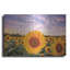«Sunflower Sunset» par Donnie Quillen
