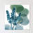 " Golden Lilly Of Eucalyptus "-23604825