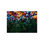Floral Fields Painting by Sydney Edmunds