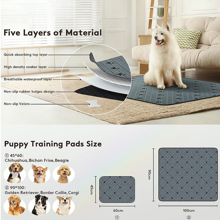 Washable Pee Pads for Dogs, Non-Slip, Highly Absorbent, Reusable, Waterproof Pet Training Pads for Playpen, Crate, Cage Tucker Murphy Pet Size: Extra