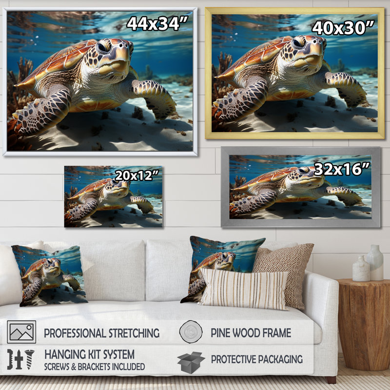 Minimalist Lagoon Turtle sur toile, Cadre flottant blanc, H 24 po x l 32 po x P 1 po