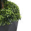 120cm Faux Boxwood Plant in Pot