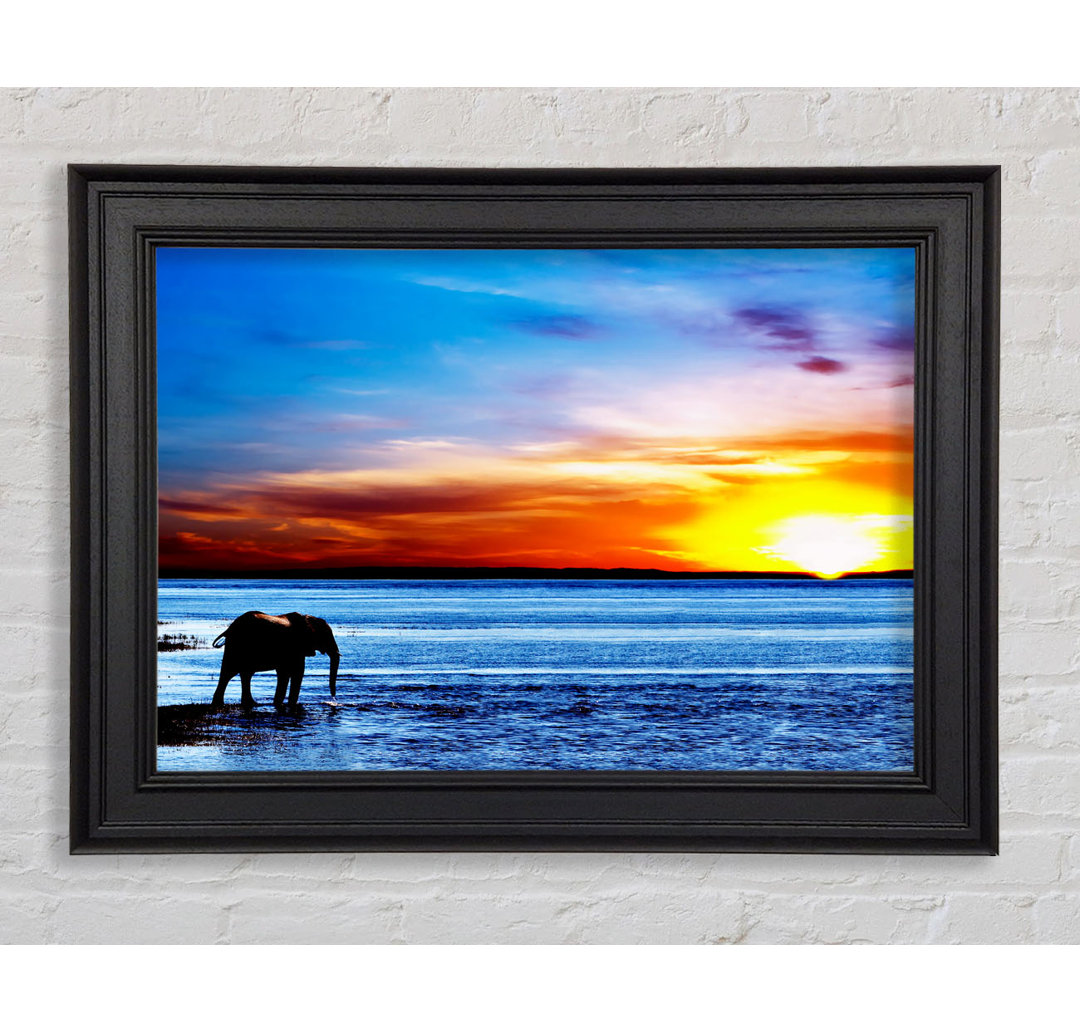 Gerahmtes Bild Elephant Ocean