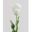 Perroquet citron tulipe Real Touch 27 po-287527661