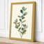 Study in Sage Botanical - Wrapped Canvas-1402844-1402846