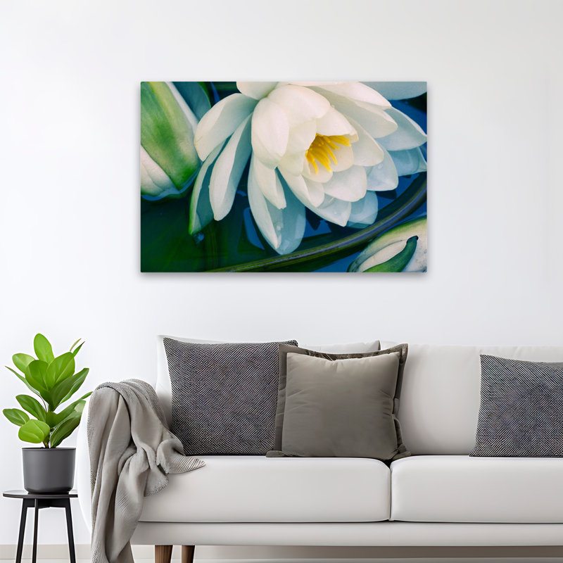 «Plants, Flowers, Calico», impression sur demande, H 32 po x l 48 po