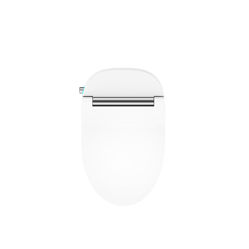 Modern Smart Toilet With Power Outage Backup & Water Conservation Flush One Piece Heated Seat Knob Control System