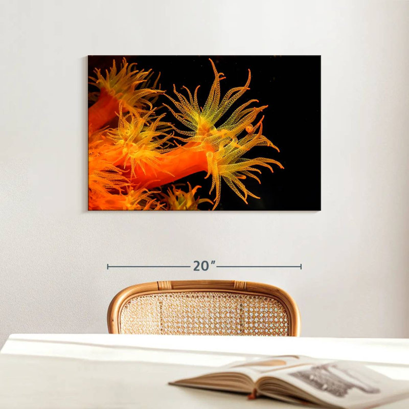 Brampt Sun Polyps, 16" H x 24" W