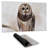 Barred owl - 14.00"x24.25" Desk mat