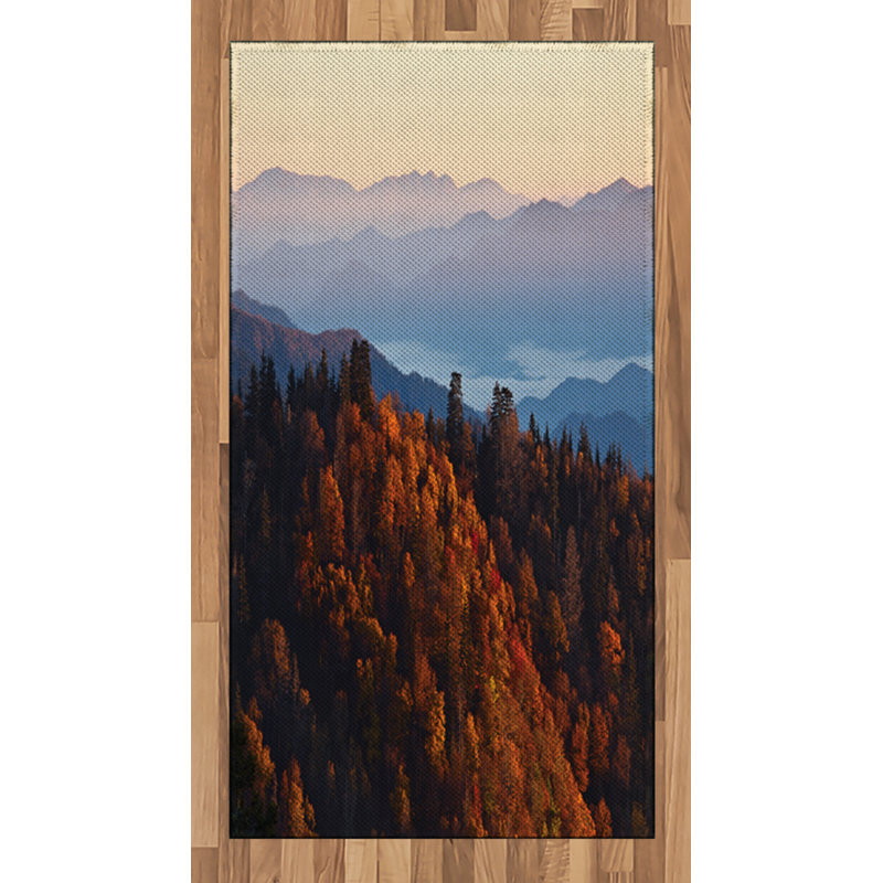 National Parks Brown Area Rug, Rectangle 2'7" x 5'