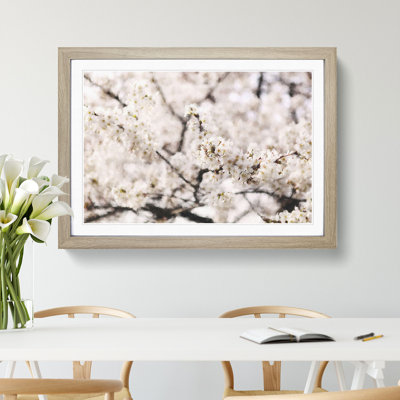 Pink Cherry Blossom Flowers Vol.7 - Framed Print
